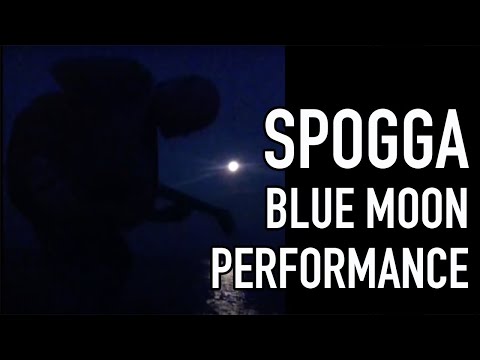 Spogga: Blue Moon Performance 2012