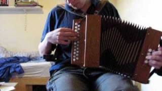 Valentine/Orange In Bloom