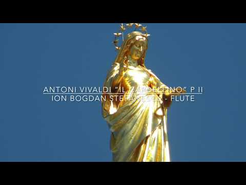 @ionbogdanstefanescu  Vivaldi - ”Il Cardellino” p II