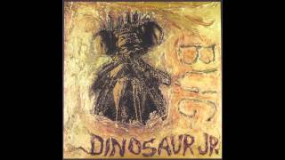 Dinosaur Jr. - They Always Come