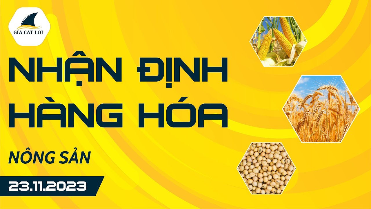 Nhận Định Hàng Hoá Nông Sản Ngày 23/11/2023