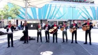 "La Bikina" -Mariachi Viajeros