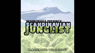 SkankinOslo - Scandinavian Junglist (Dr Roman feat.  Tall N Skinny)