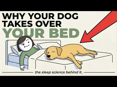 Psychology of Dogs That Sleep With You (What They're Telling You)