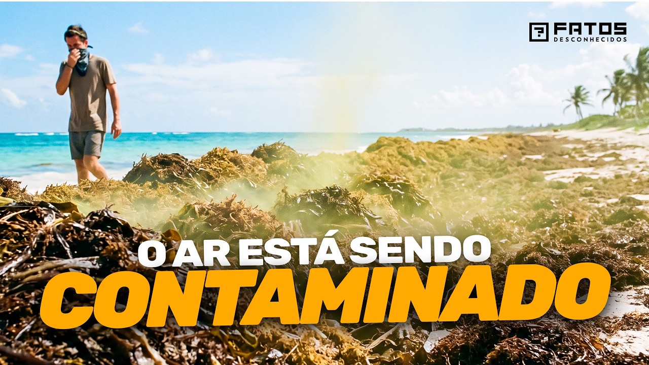 A Estrutura de 8.000 km que Está Mudando o Oceano