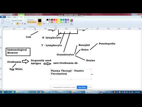 Immunoinformatics  Linear Antigenic Epitope Exploring on Spike Protein and its Rational 2