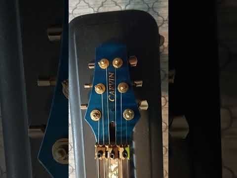 Carvin CT 6 2010S - Blue image 13
