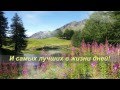 С Днём Рождения, Июньский малыш - Поздравляем! 