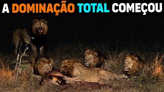 🚨 MAIS PERIGOSOS! Os leões Rongai Rockers COMEÇARAM A AGIR