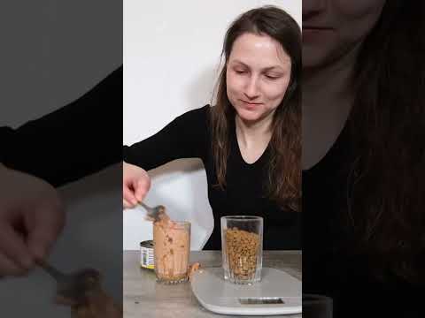 Why Kibble Doesn't Satisfy Your Cat #shorts