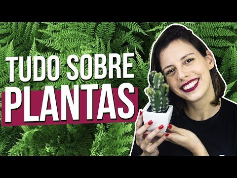 BOTANY SUMMARY | Prof. Camila Cavalieri