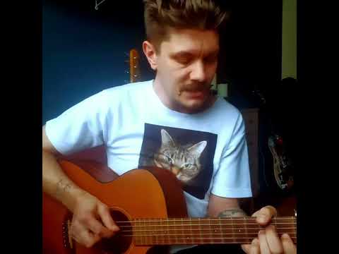 Björnarna - Risk på fyllan