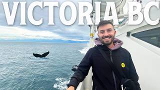 Whale Watching in Victoria BC | Orcas, Humpbacks & Alaska Cruise