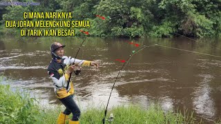 Download lagu PANIC..!!! Two Rods Curved Simultaneously Pulled by Baung Babon mp3