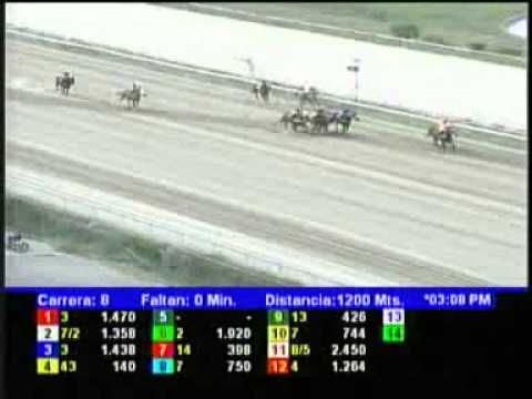 8VA CARRERA VIERNES 19 ABRIL LA RINCONADA AUDIOHIPISMO