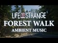 Life Is Strange Ambient Music | Forest Walk - Relaxing, Sleeping, Studying