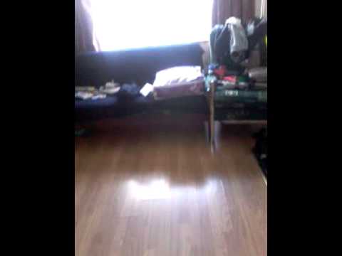 Blog around the house