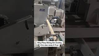 Robo Làm Mộng Âm Dương cnc 2 đầu 5 trục Woodmaster