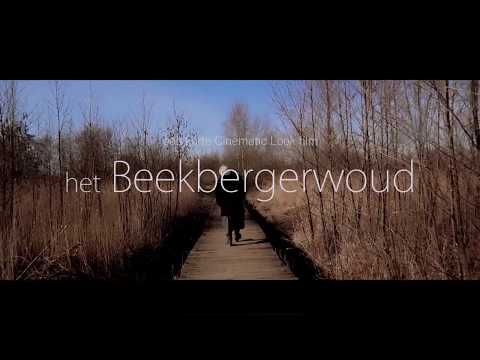 Beekbergerwoud| Canon G7x | Glidecam test | Cinematic Look.