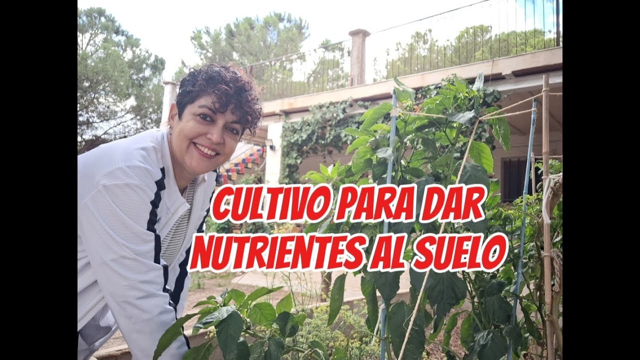 Las leguminosas, fuente importante de nutrientes para el suelo