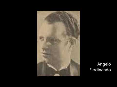 Angelo Ferdinando & his Hotel Great Northern orchestra - One Night of Love (1934)