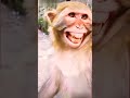 Cute Bandar Instagram Tiktok Status Funny Facebook Foryou