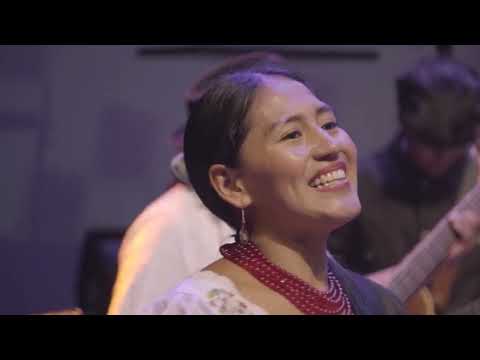 Sinchi Warmikuna & Wiñay Kayambis - Músico invitado Medardo Quishpe (acordeón) ||