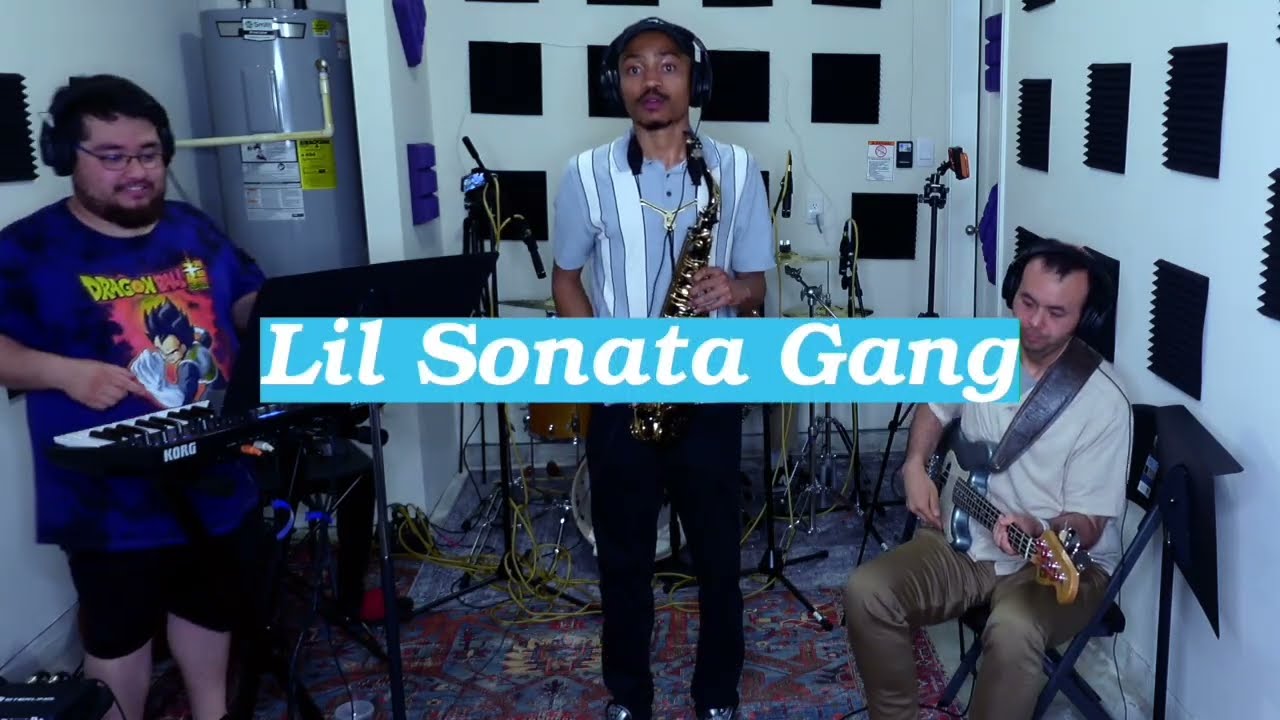 Promotional video thumbnail 1 for Lil Sonata Allegro