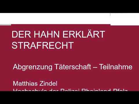 The Rooster Explains Criminal Law - Distinction Between Perpetration and Participation