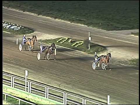 Trotto 28/02/2016 - prova di riqualifica