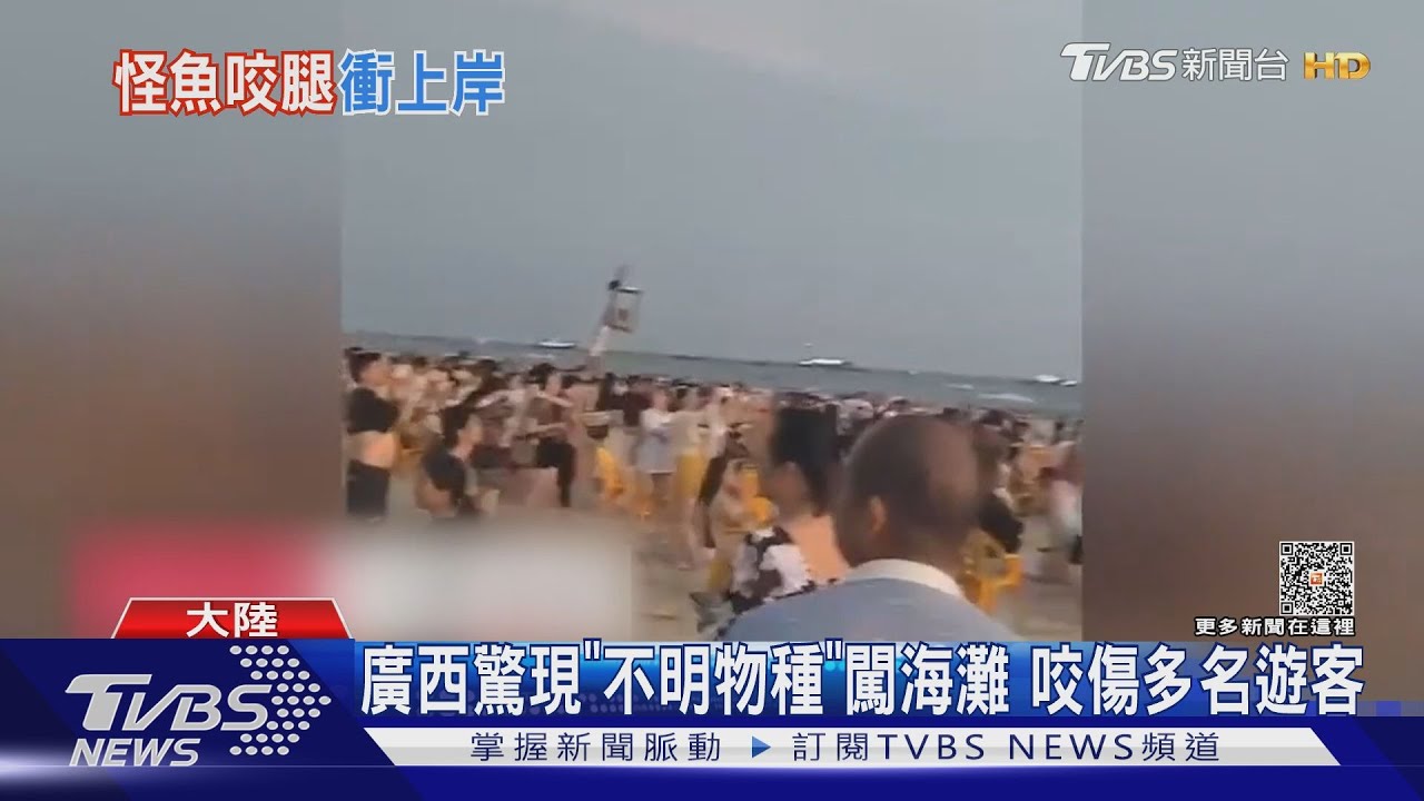 廣西驚現「不明物種」闖海灘 咬傷多名遊客