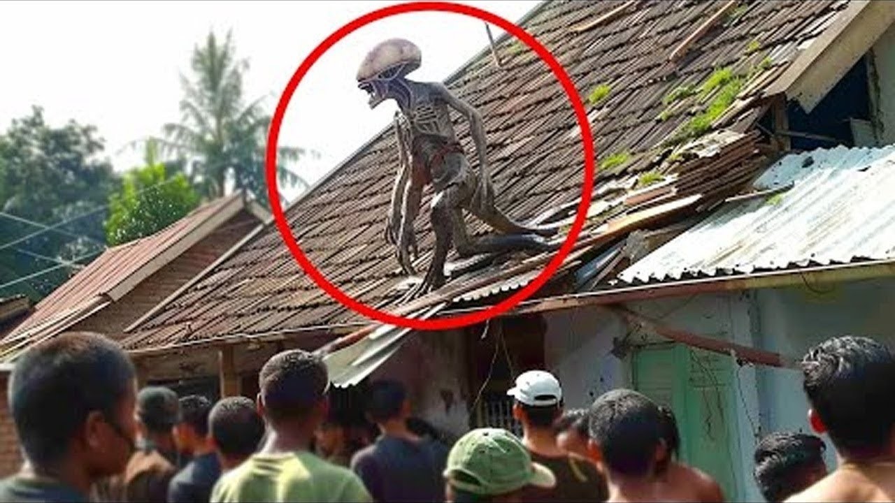 What They Discovered In A River Shocked Everyone