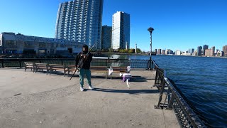 NYC-PORGIES AND SPOTS 9/20/2025