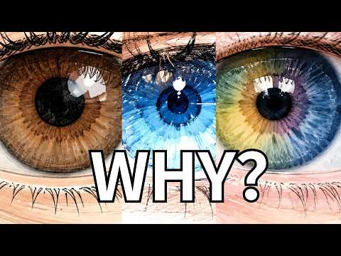 The Rarest Eye Colors on Earth (And Science Behind Them)