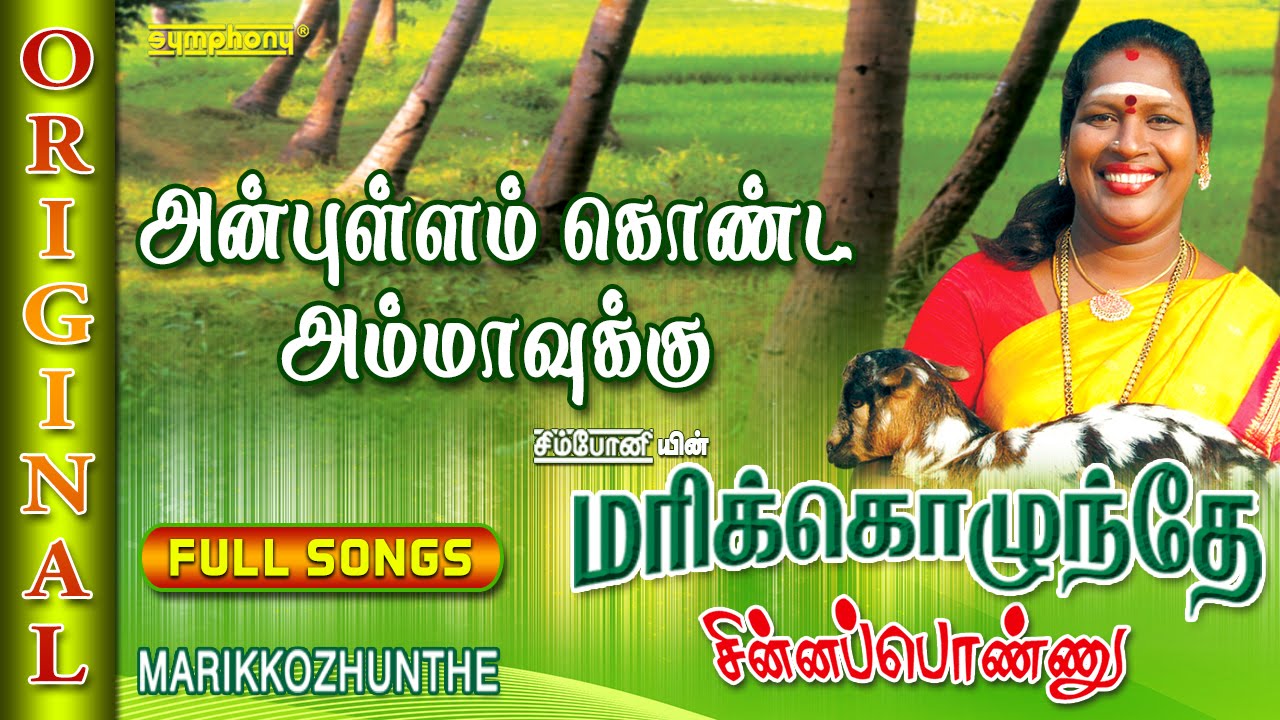 Chinna Chinna Varthaiyile Song Lyrics | Themmangu Paattukaaran | Gangai Amaran