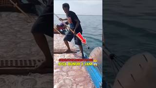 Download lagu 😱 Fakta Mengerikan! Sengatan Ubur-Ubur Ini Bisa Bunuh Manusia dalam 1 Jam! ⚠️ #BoxJellyfish mp3