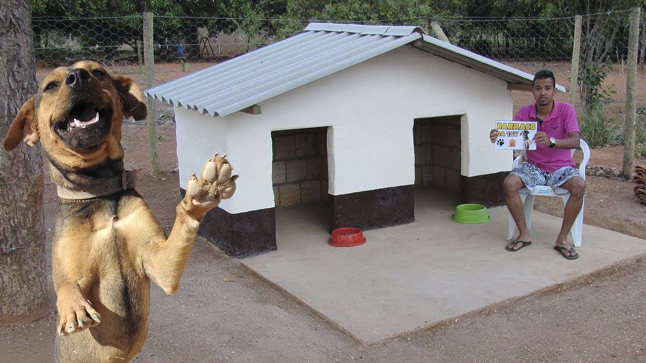 CONHEÇA O CANIL DA “12V”