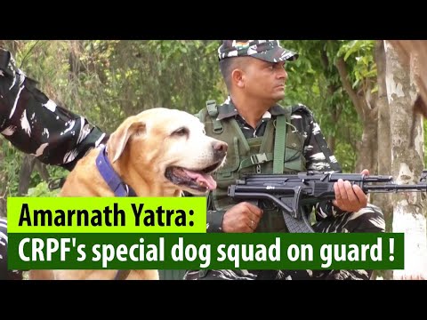 CRPF's special dog squad deployed in various locations ahead of Amarnath Yatra #crpf #dogsquad