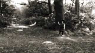 Danger In The Woods 2013