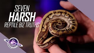 7 Harsh Truths on Starting a Reptile Breeding Business | #ballpython #snake #reptiles