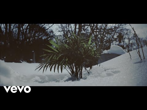 WSTLNDR, Evil Sardine - SHO118131