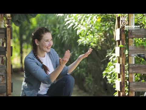 R for Rabbit Tiny Toes Jazz Kids Bicycle Plug n Play for Kids of Age 3 to 5 Years