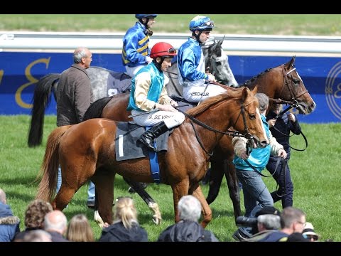 Köln: Preis der Kölner Bank (D) - Sieger: Degas