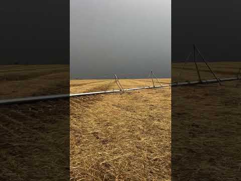 VENTOS FORTES EM NOVO HORIZONTE DO SUL (MS) #shorts