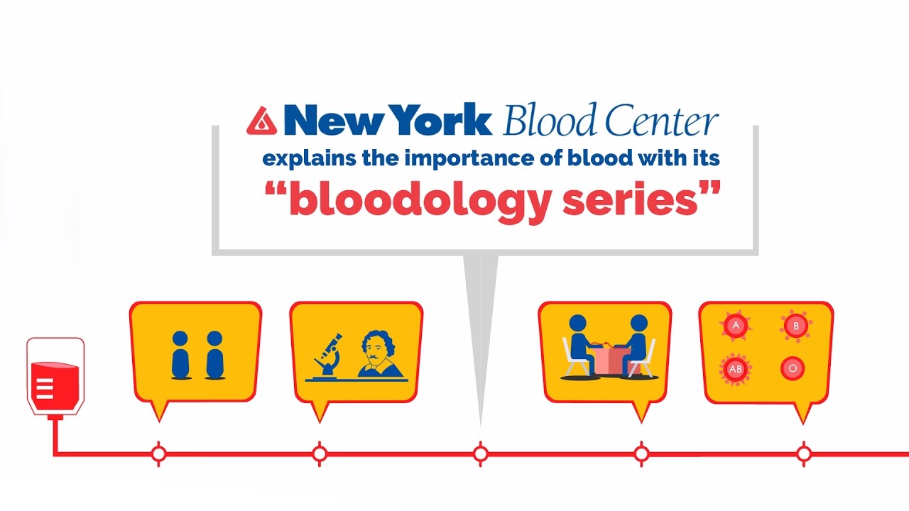 NYBC Bloodology Series | Animations NYBC Bloodology Series | Animations