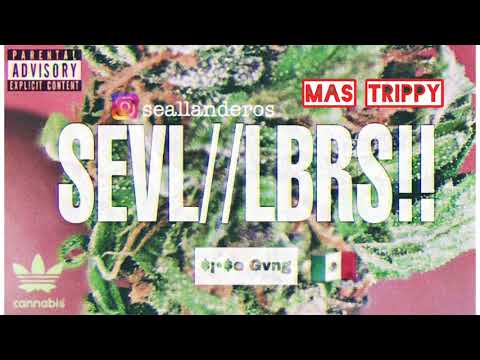 SEVL + Trippy 🚀 x audio Mix. SiSe Gvng!!