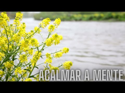 Acalmar a Mente Inquieta - Música Relaxante para Tranquilizar Pensamentos Acelerados - Descontrair