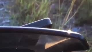 Download lagu Selamat Pagi Dunia Tipu-Tipu 🌏 | Story Wa 30 Detik mp3 Download lagu Selamat Pagi Dunia Tipu-Tipu 🌏 | Story Wa 30 Detik mp3