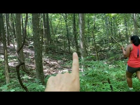 Couple Hikes Deep Into The Lair Of Bigfoot Sasquatch And Captures Most Conclusive Evidence Yet!