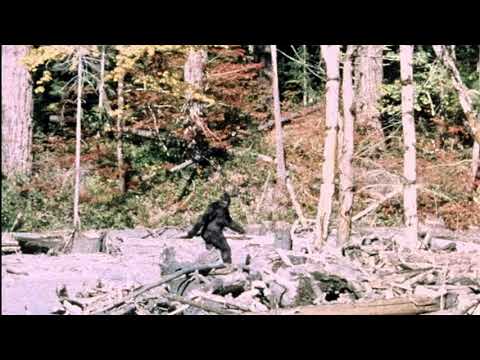 Steven Terry ~ Never Heard Anything Like It